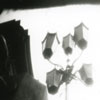 camera obscura photo