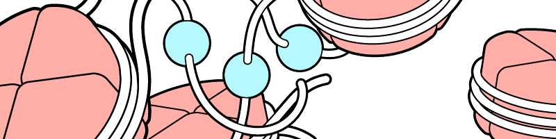krischall logo preview