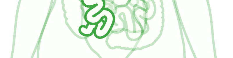 krischall logo preview